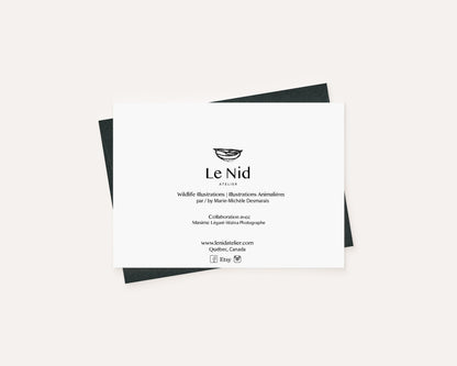 Bald Eagle  - greeting card