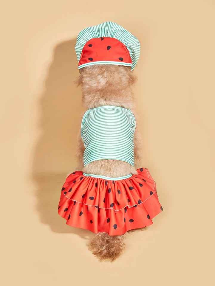 Melon Swimsuit