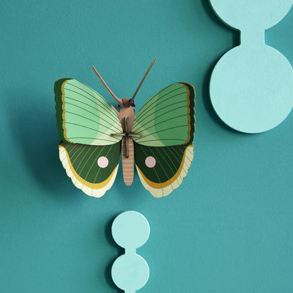 Fern Striped Butterfly