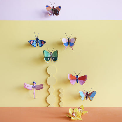 Fern Striped Butterfly
