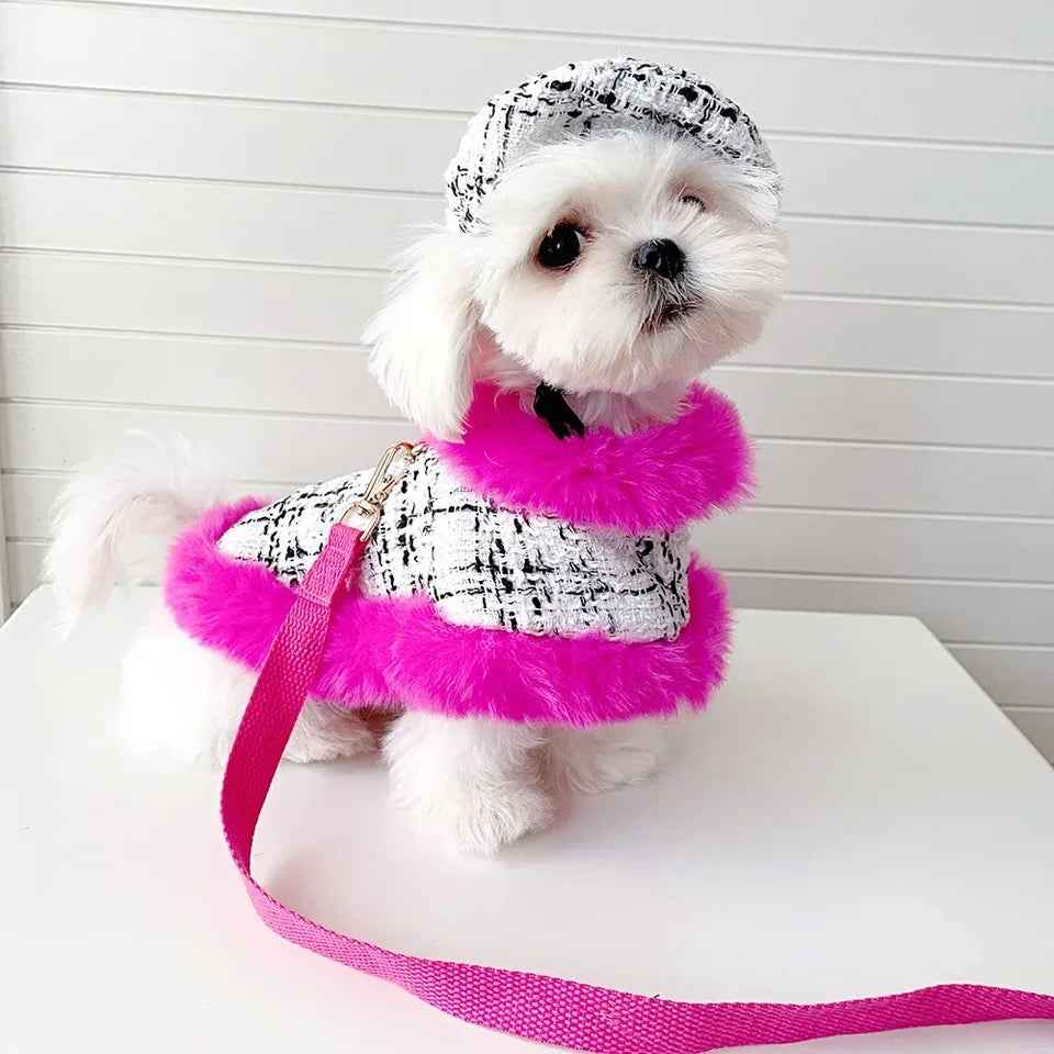 Ultra Violet Harness Set | Dog Harness Leash and Hat Set