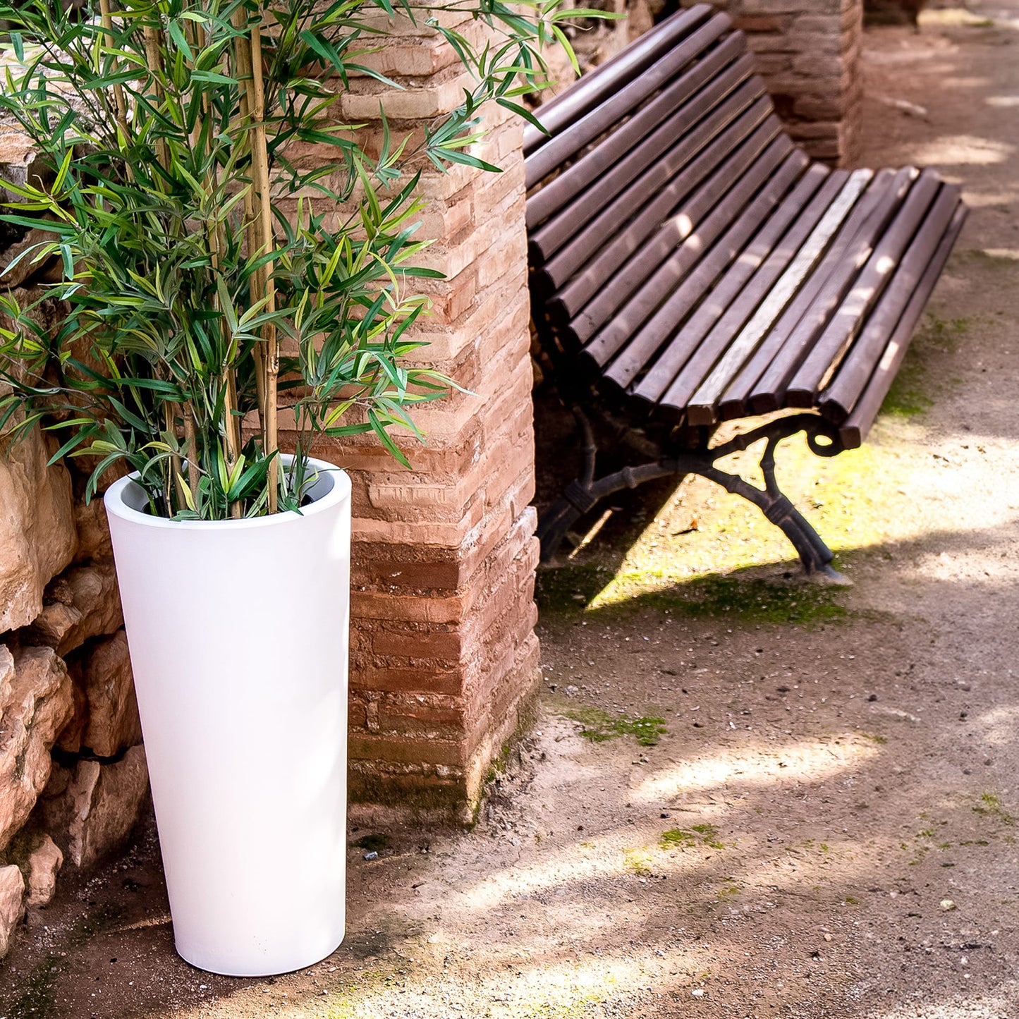 Ficus<br> Solar & Rechargeable