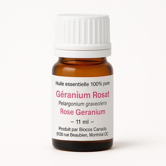 Géranium Rosat