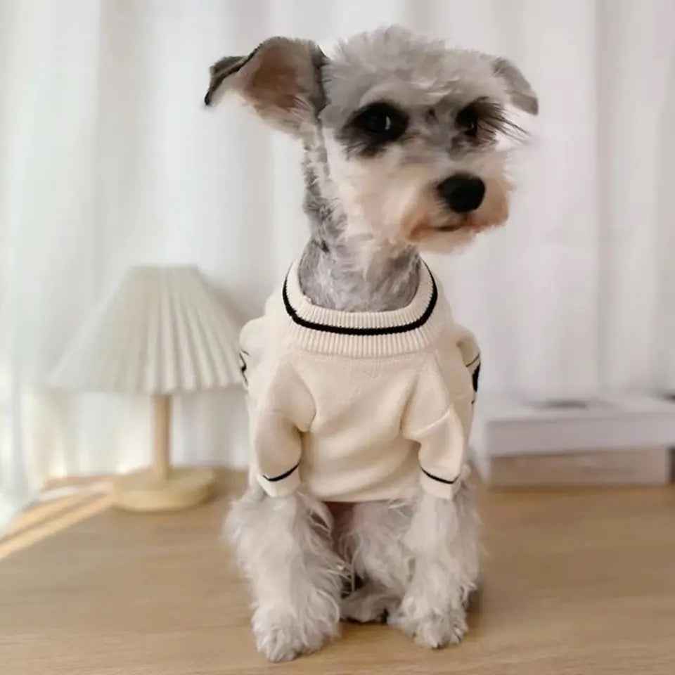 Christin Dogior Signature Dog Sweater | Cozy Everyday Dog Clothing