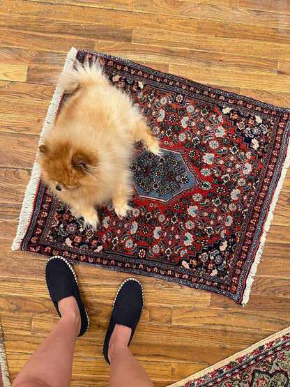 Persian Bijar Rug | 2' 4" x 2' 6"
