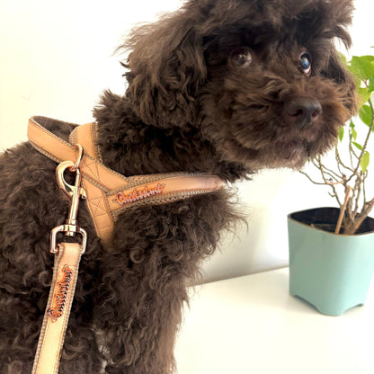 Peach real Leather One-Click Dog Harness
