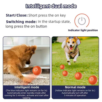 Pet Vibrating Ball Toy