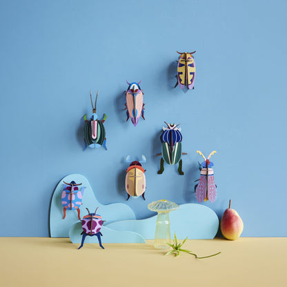 Lemon Fruit Beetle