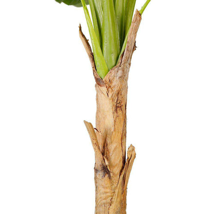 Leya Künstliche Bananenstaude Topfpflanze 305 cm
