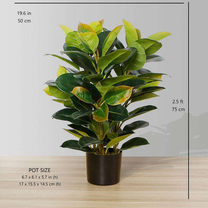 Rubi Künstlicher Kautschuk-Topfpflanze 76 cm