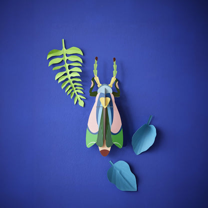 Sakura Beetle