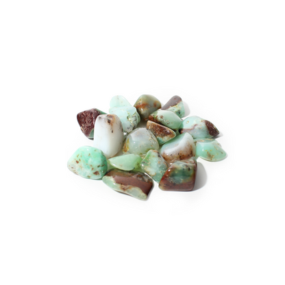 Chrysoprase A Tumbled Stones - Australia