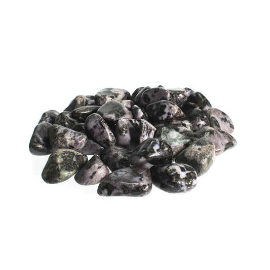 Indigo Gabbro Tumbled Stone