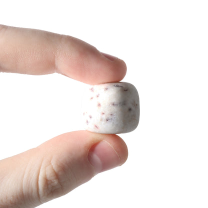 Scolecite Tumbled Stones - India