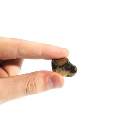 Septarian Tumbled Stones