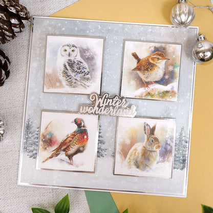 Winter Woodland Printed Parchment
