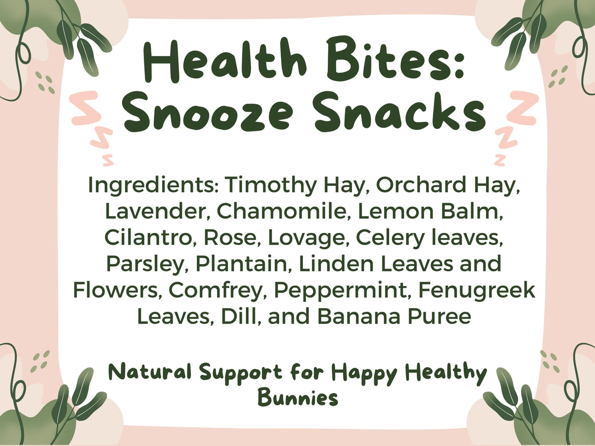 Health Bites: Snooze Snacks