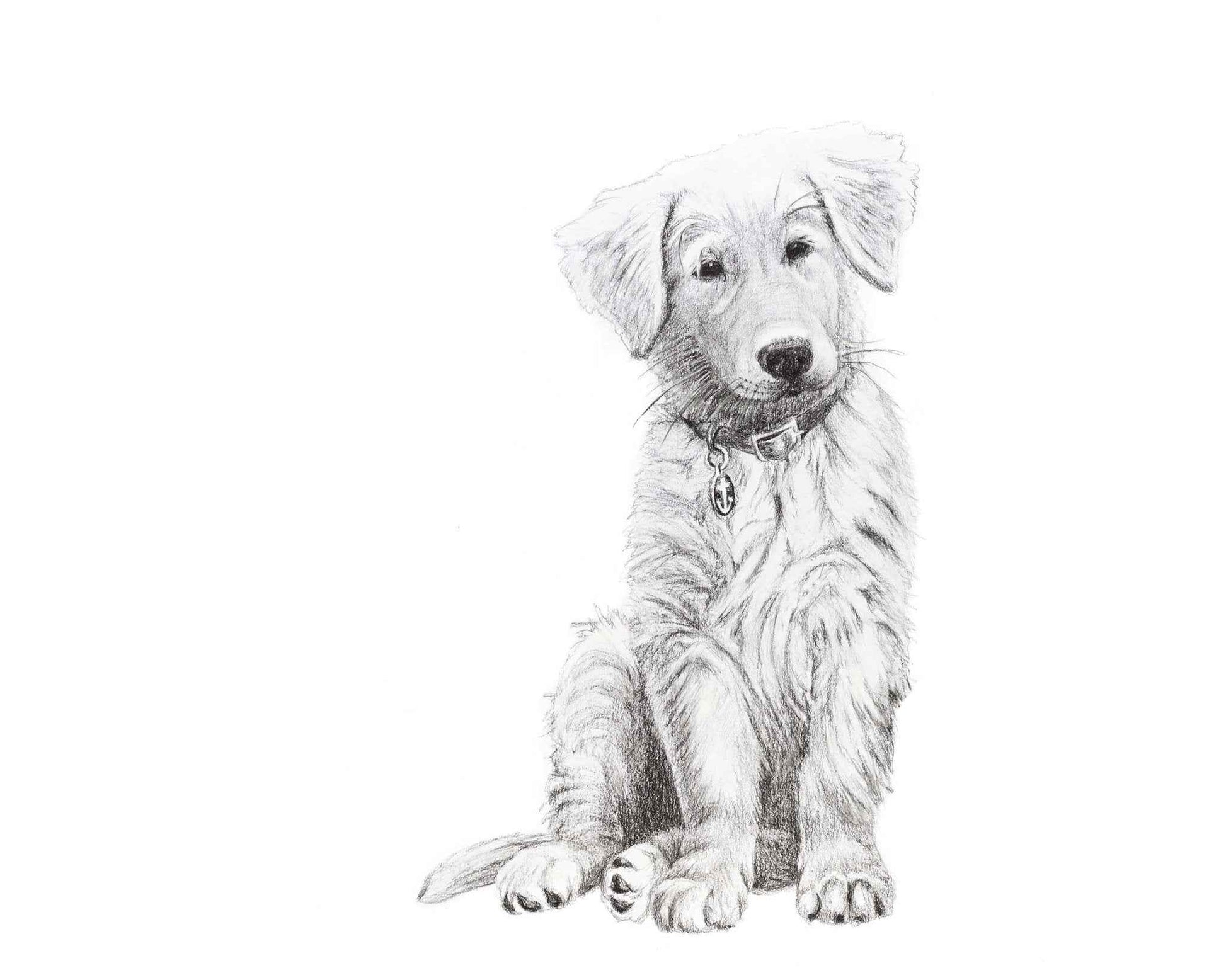Dog - Baby Golden Retriever - Black and White Nursery Art Print