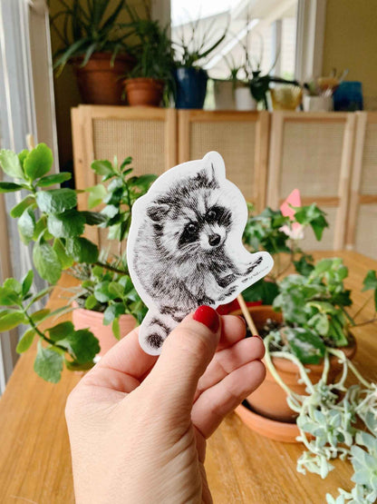 Adorable Raccoon Magnet