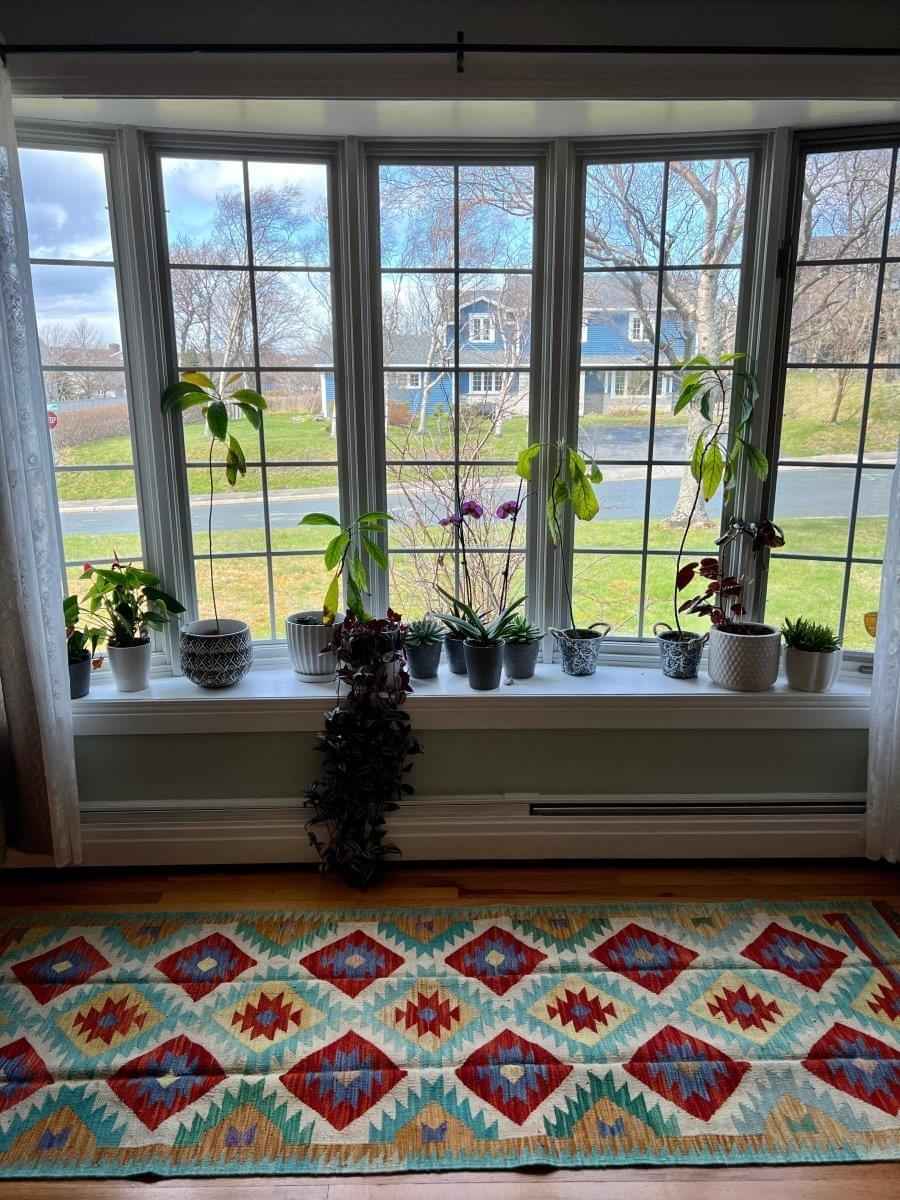 Afghan Maymana Kilim Runner | 8' 2" x 2' 9"