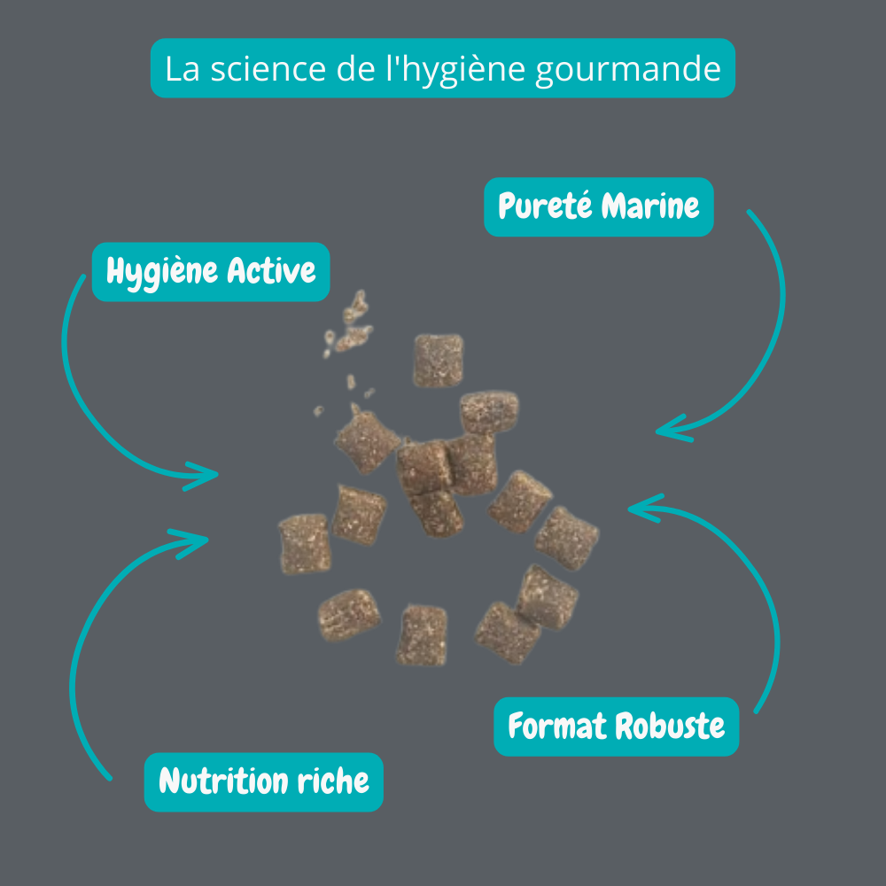Gâterie au canard