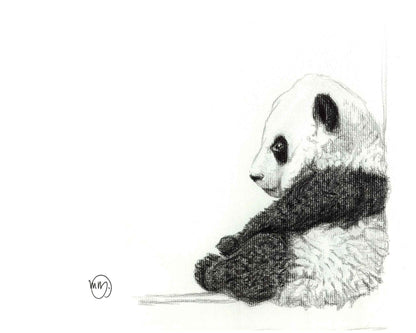 Baby Panda Greeting Card
