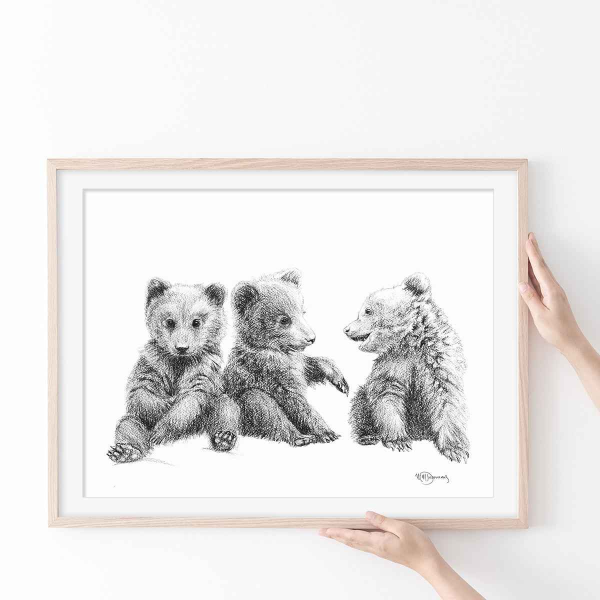 3 Brown Bear Cubs -  Illustration