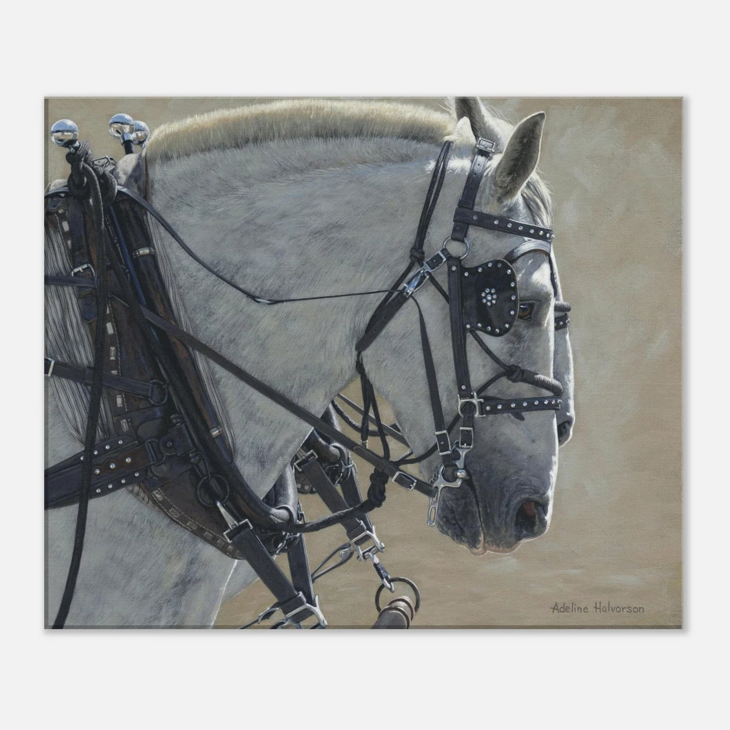 STEADY Canvas Print