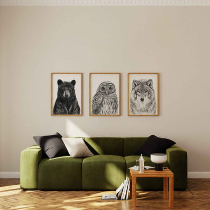 Black Bear Portrait - art print
