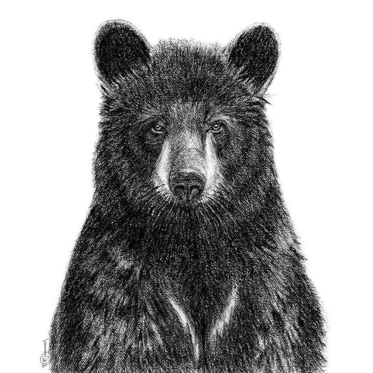 Black Bear Portrait - art print