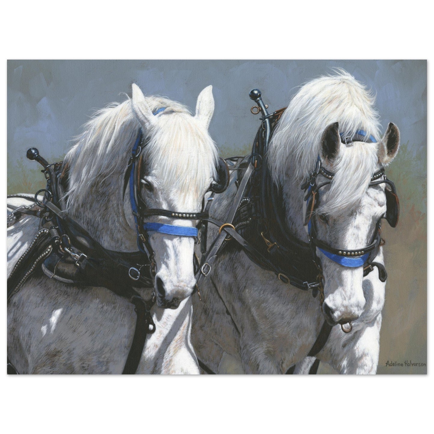 POWER AND GRACE Fine art print