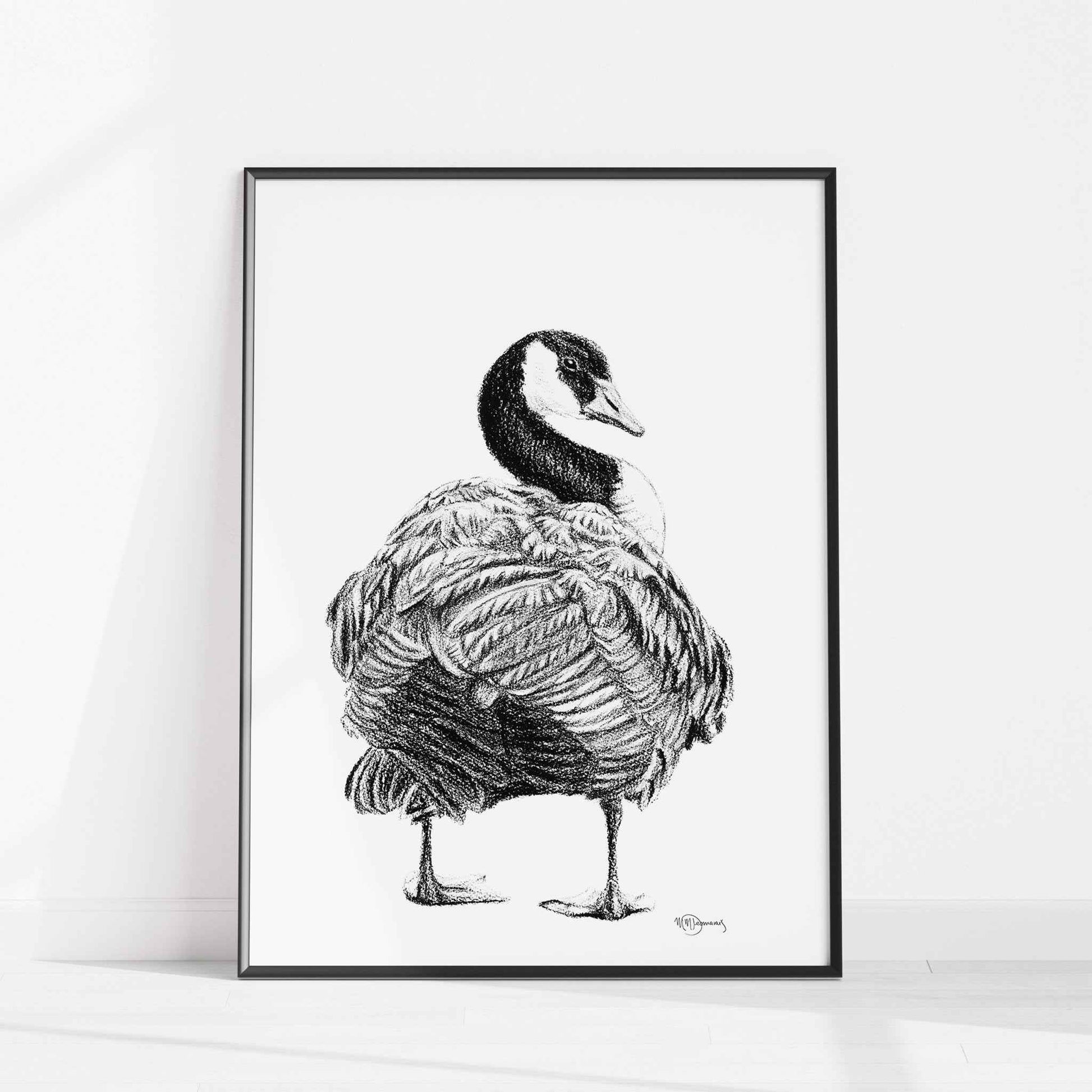 Canada Goose - art print
