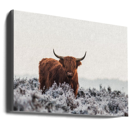 Wall Art Highlander