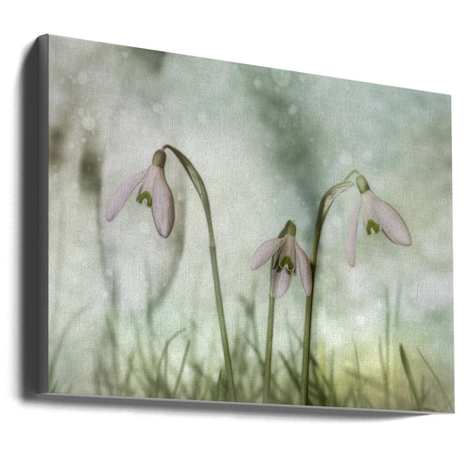 Wall Art Trio 2
