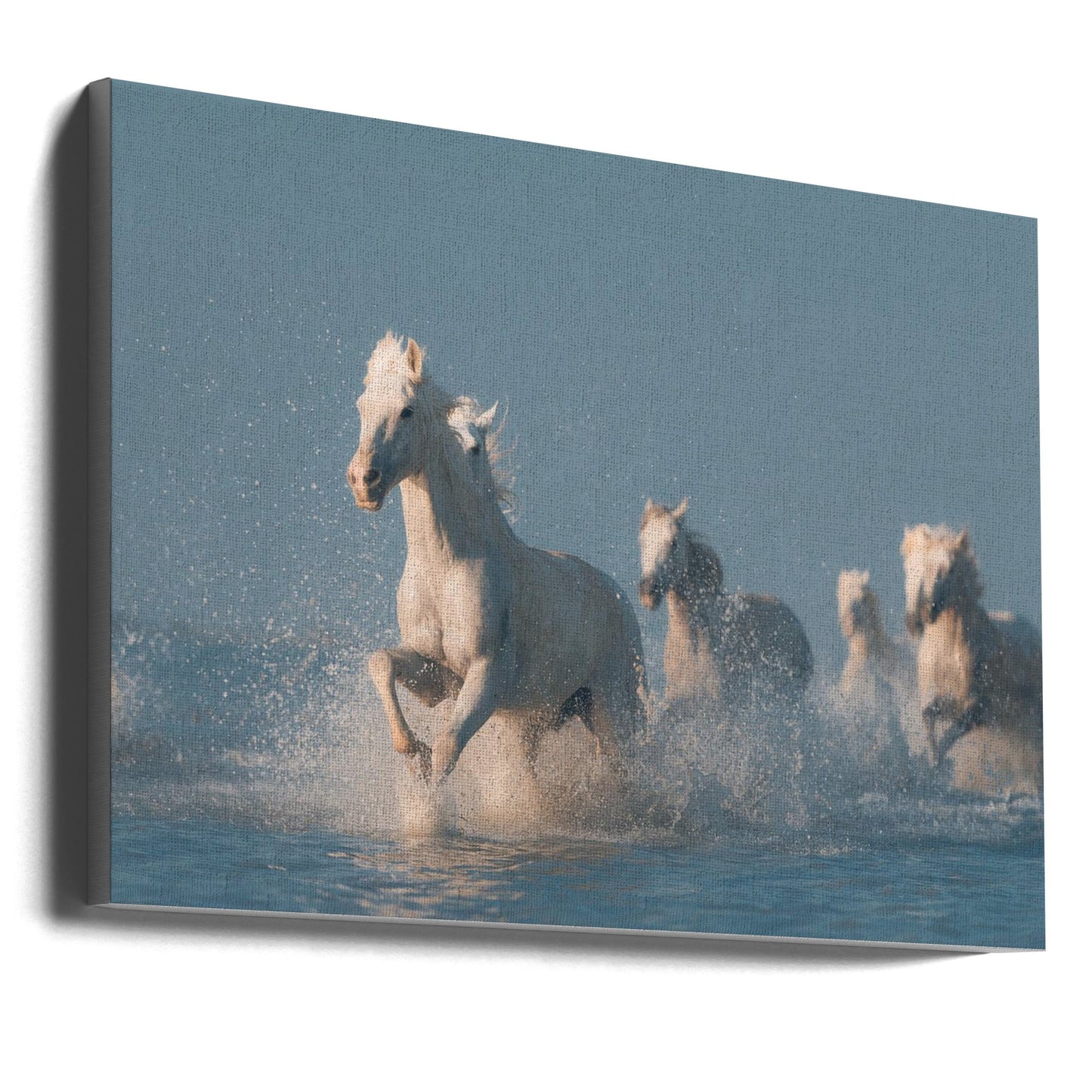Wall art Angels of Camargue. Horse