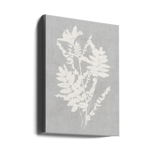 Wall art Botanical Illustration 5