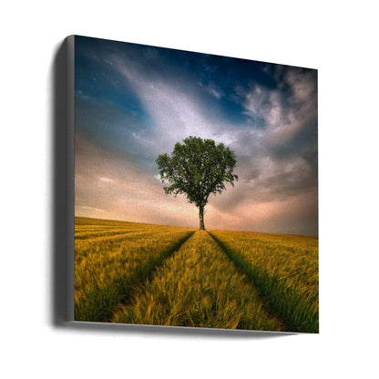 Wall art One