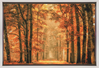 Wall Art Exit the Portal