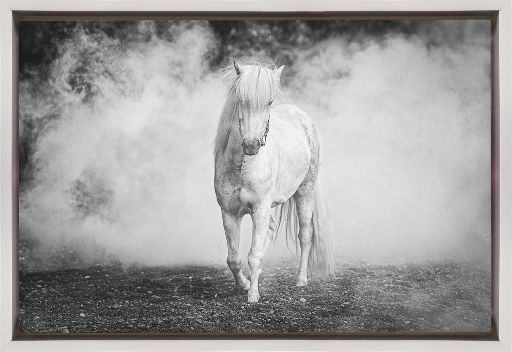 Wall art Icelandic pony