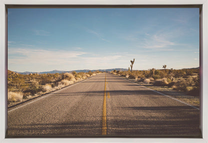 Wall Art Joshua Tree Road