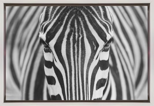 Wall art Zepra