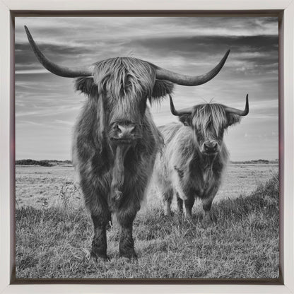 Wall Art Highlands