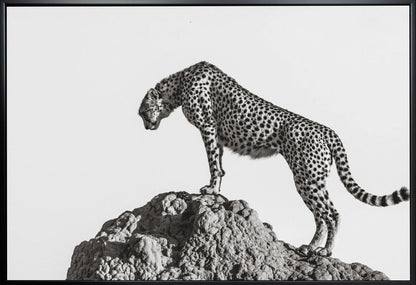 Wall Art the hunter