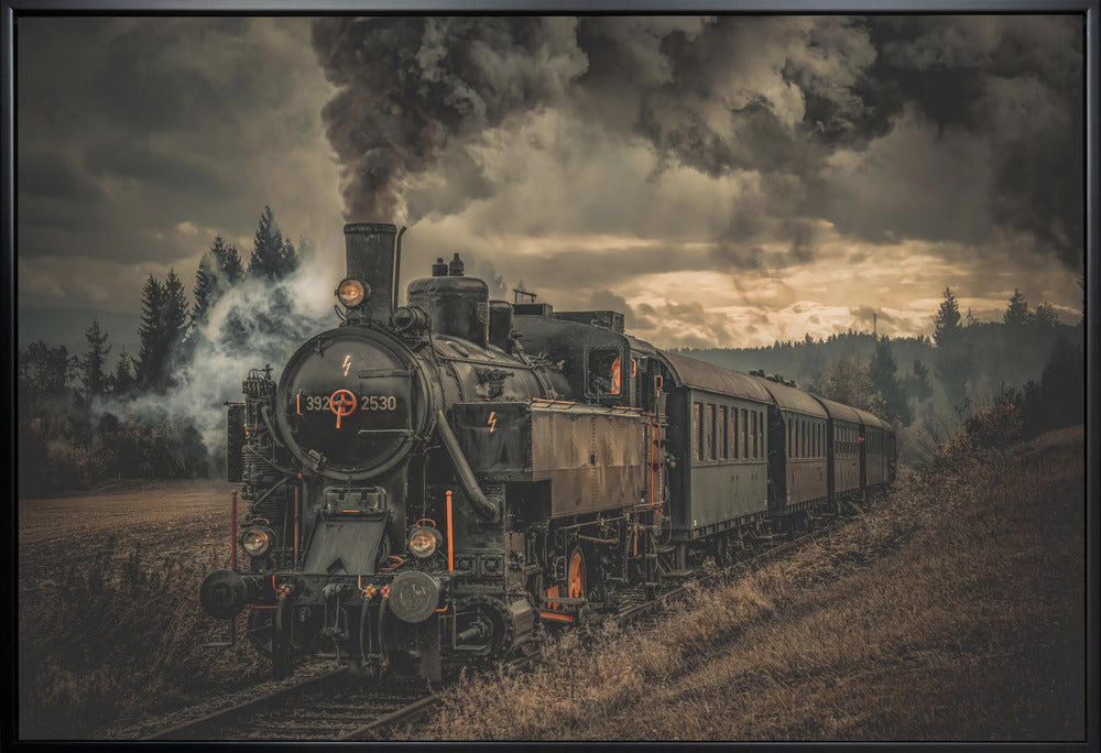 Wall Art Gold digger train