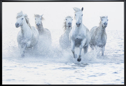 Wall Art Horses on the Run