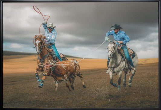 Team Roping