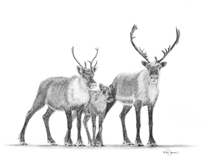 Caribous Family - Woodland Animal Wall Art