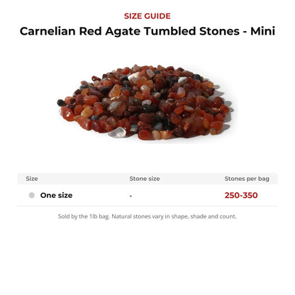 Carnelian Red Agate Tumbled Stones - Mini