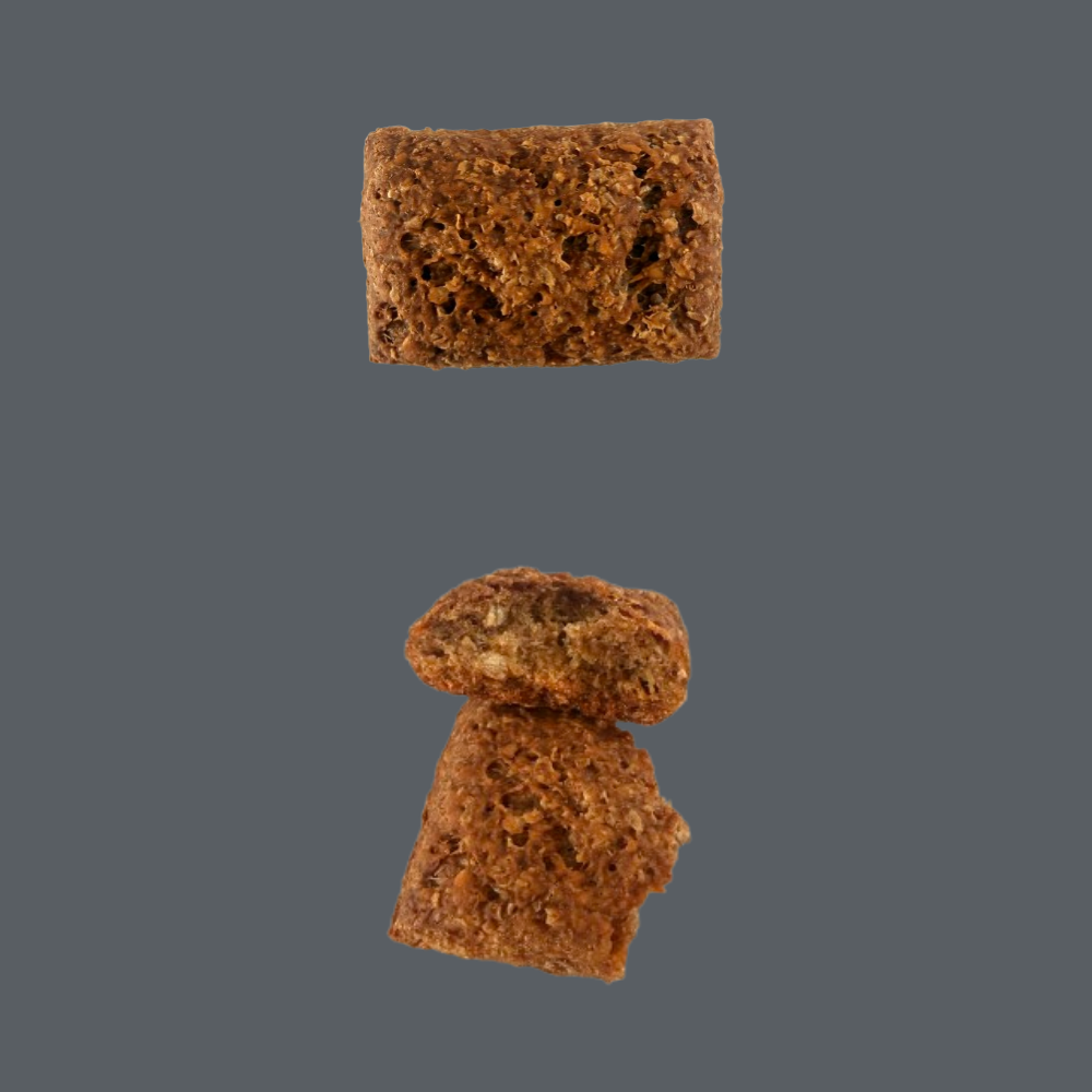 Biscuit croquant à saveur de saumon sauvage