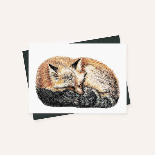 Fox sleeping - curled in ball - greeting card